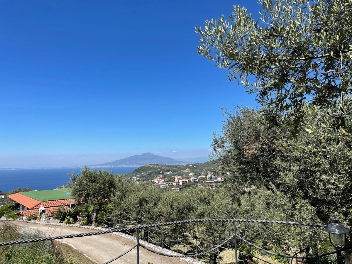 Loren House, Relaxing Location With Seaview Масса-Лубренсе Экстерьер фото