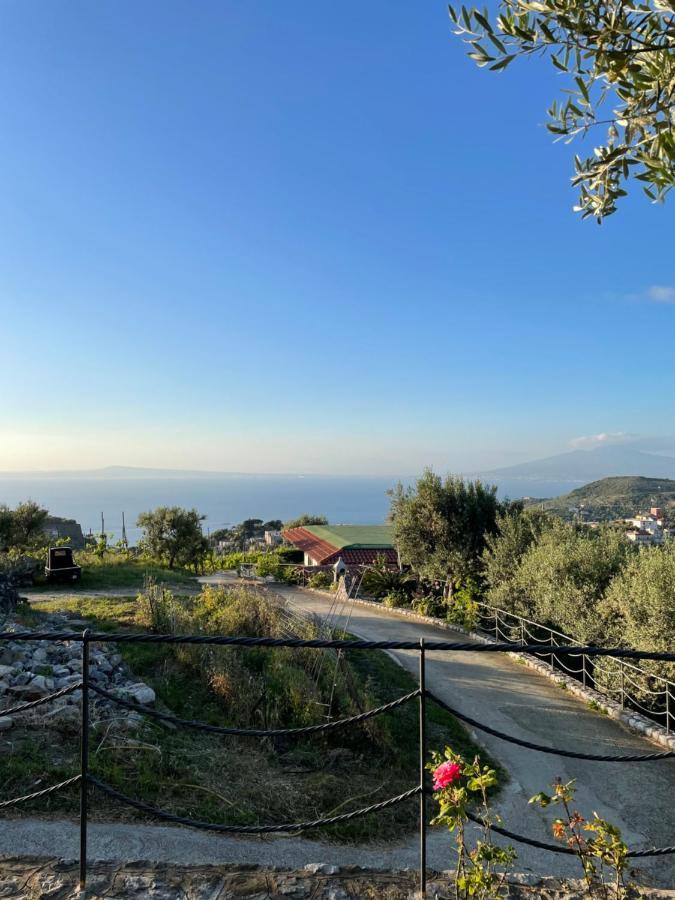 Loren House, Relaxing Location With Seaview Масса-Лубренсе Экстерьер фото